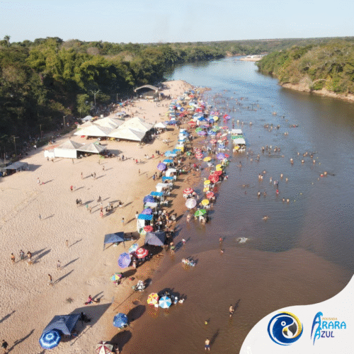 Pacote Individual Completo de Ecoturismo com 4 Diárias e 3 Dias de Passeios em Barra do Garças, MT - Imagem 9