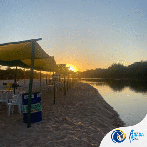 Passeio em Barra do Garças MT: Parque das Águas Quentes e Barco pelos Rios Araguaia e Garças - Imagem 4