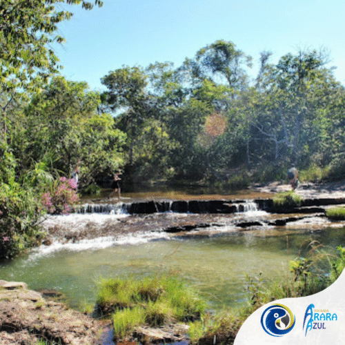 Passeio Cachoeira Cristal e Mirante da Serra Azul - Imagem 9
